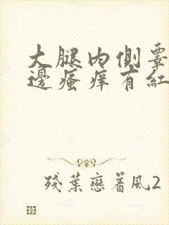 大腿内侧睾丸旁边瘙痒有红疙瘩发黑