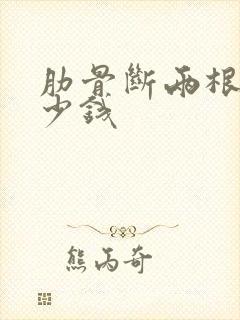 肋骨断两根赔多少钱