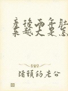 产后两年肚子越来越大是怎么回事啊封面