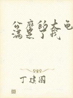公么的大龟强大满足了我