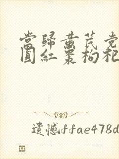 当归黄芪党参桂圆红枣枸杞的功效与作用吃法