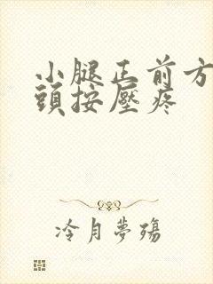 小腿正前方的骨头按压疼