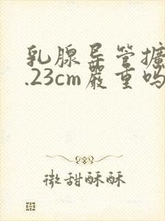 乳腺导管扩张0.23cm严重吗