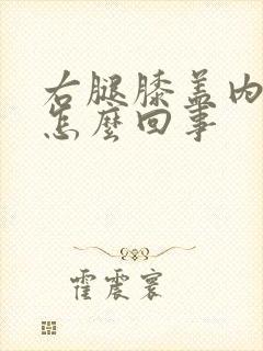 右腿膝盖内侧疼怎么回事
