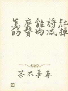 怎么能将肚子上的赘肉减掉