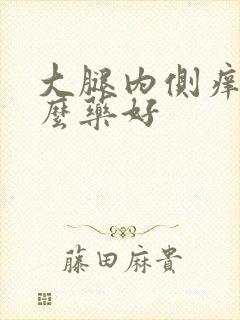 大腿内侧痒用什么药好