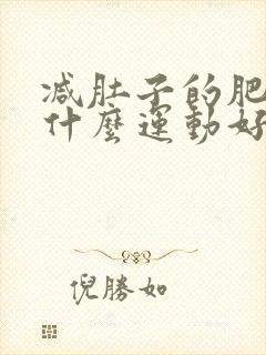 减肚子的肥肉做什么运动好
