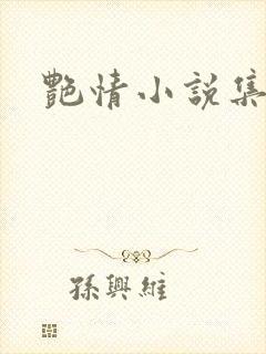 艳情小说集封面