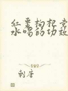 红枣枸杞党参泡水喝的功效和作用