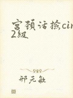 宫颈活检cin2级