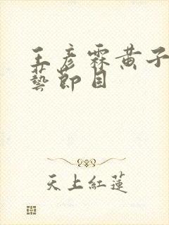 王彦霖黄子韬综艺节目
