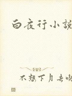 白夜行小说下载
