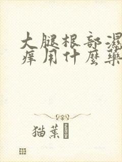 大腿根部湿热瘙痒用什么药