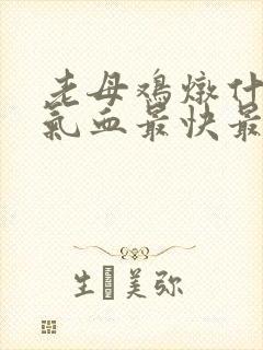老母鸡炖什么补气血最快最好