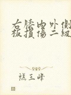 右膝内外侧半月板损伤二级封面