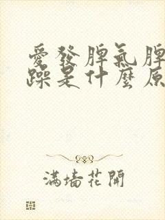 爱发脾气脾气暴躁是什么原因