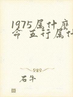 1975属什么命 五行属什么
