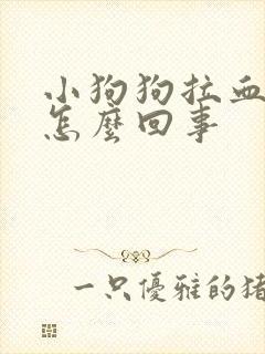 小狗狗拉血便是怎么回事