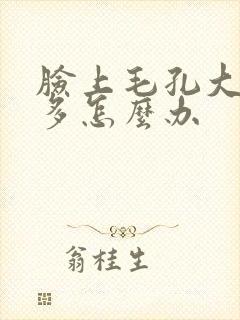 脸上毛孔大粉刺多怎么办封面