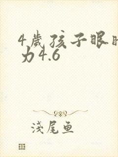 4岁孩子眼睛视力4.6