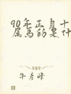 90年正月十五属马的是什么命封面