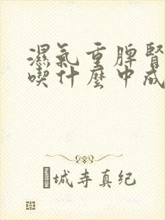 湿气重脾肾两虚吃什么中成药封面