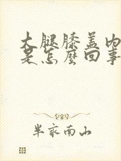 大腿膝盖内侧疼是怎么回事