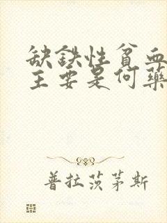 缺铁性贫血治疗主要是何药