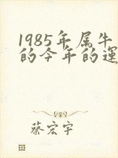 1985年属牛的今年的运气怎么样