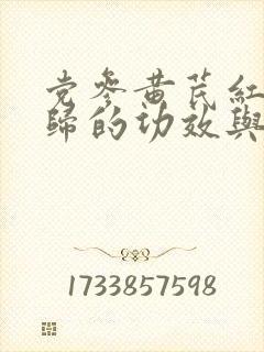 党参黄芪红枣当归的功效与作用及食用方法