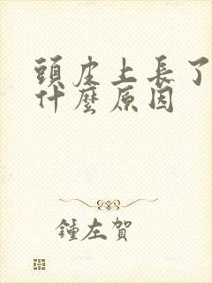 头皮上长了痘痘什么原因