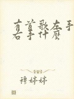 有首歌左手什么右手什么
