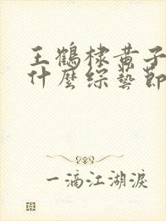王鹤棣黄子韬是什么综艺节目