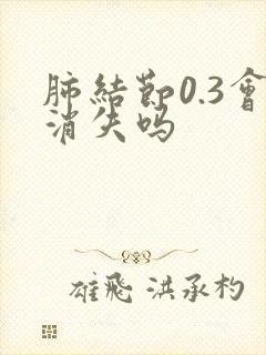 肺结节0.3会消失吗