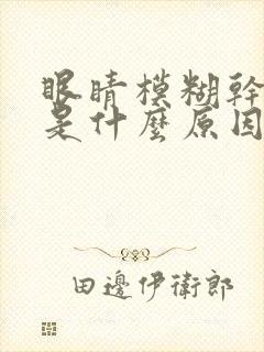 眼睛模糊干涩痒是什么原因引起的