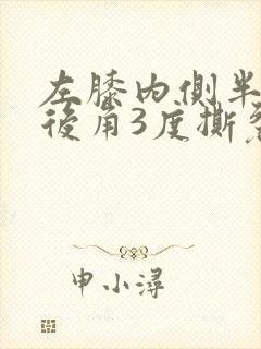 左膝内侧半月板后角3度撕裂封面