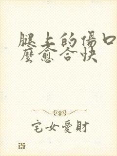 腿上的伤口用什么愈合快