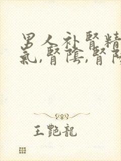 男人补肾精,肾气,肾阴,肾阳的中药