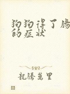 狗狗得了肠胃炎的症状封面