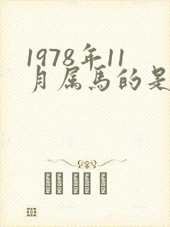 1978年11月属马的是什么命