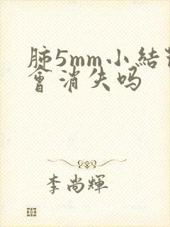 肺5mm小结节会消失吗