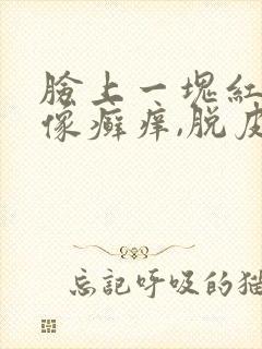 脸上一块红红的像癣痒,脱皮封面