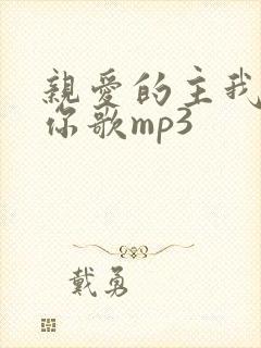 亲爱的主我赞美你歌mp3封面