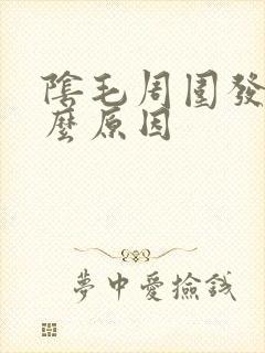 阴毛周围发痒什么原因