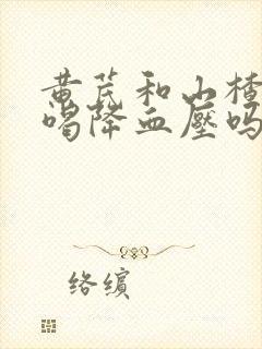 黄芪和山楂泡水喝降血压吗