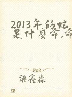 2013年的蛇是什么命,命里缺啥