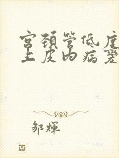 宫颈管低度鳞状上皮内病变封面