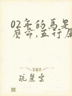 02年的马是什么命,五行属性
