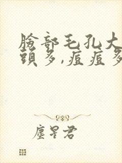 脸部毛孔大,黑头多,痘痘多,爱出油怎么办
