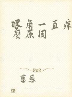 眼角一直痒是什么原因封面